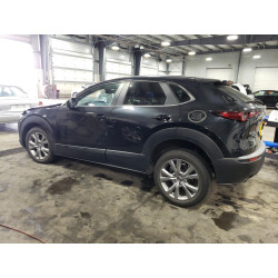 2021 MAZDA CX30 3MVDMBBL1MM233945 60296623