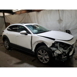 2021 MAZDA CX30 3MVDMBDL1MM314408 57722443