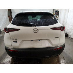 2021 MAZDA CX30 3MVDMBDL1MM314408 57722443