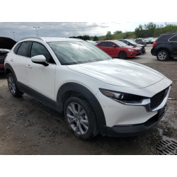 2022 MAZDA CX30 3MVDMBBL9NM440519 58190963