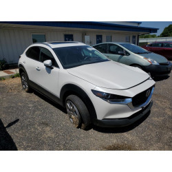 2022 MAZDA CX30 3MVDMBDL1NM433951 59122073