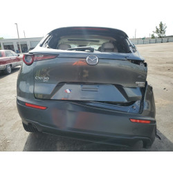 2022 MAZDA CX30 3MVDMBDY8NM446773 56307333