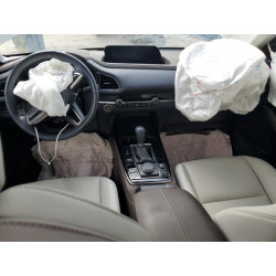 2022 MAZDA CX30 3MVDMBDY8NM446773 56307333