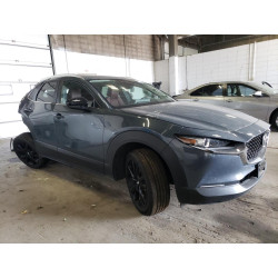 2023 MAZDA CX30 3MVDMBCM2PM532100 61175043