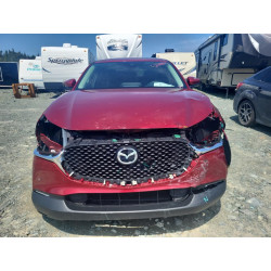 2021 MAZDA CX30 3MVDMBCL5MM239925 52314803