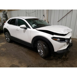 2021 MAZDA CX30 3MVDMBBLXMM247200 63616593