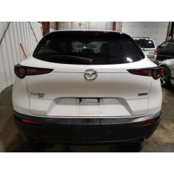 2021 MAZDA CX30 3MVDMBBLXMM247200 63616593