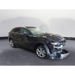 2023 MAZDA CX30 3MVDMBBM8PM534449 63301183