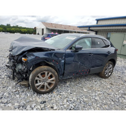 2021 MAZDA CX30 3MVDMADL0MM304608 63397073
