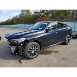 2023 BMW X6