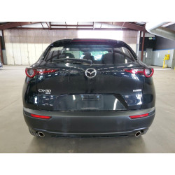 2021 MAZDA CX30 3MVDMBBL4MM239948 62957613