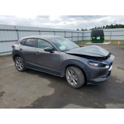 2021 MAZDA CX30 3MVDMBBL0MM218417 60730653