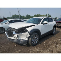 2021 MAZDA CX30 3MVDMBCL9MM228362 57577683