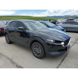 2022 MAZDA CX30 3MVDMBAL0NM424176 59393203