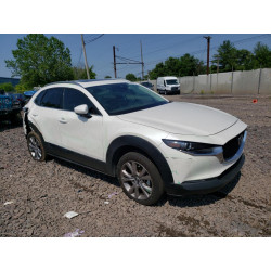 2021 MAZDA CX30 3MVDMBDL2MM314319 58866463