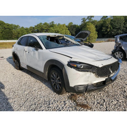 2020 MAZDA CX30 3MVDMABL9LM102237 67506493