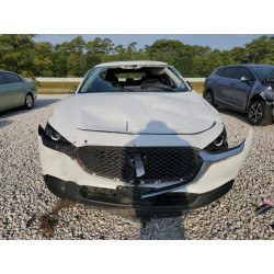 2020 MAZDA CX30 3MVDMABL9LM102237 67506493