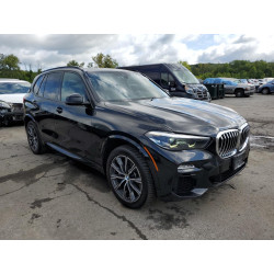 2019 BMW X5 5UXCR6C51KLL02751 65908743