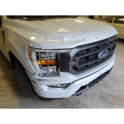 2022 FORD F150