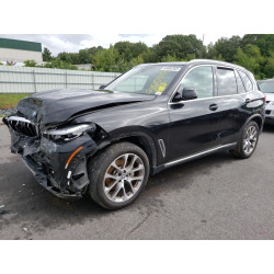 2021 BMW X5 5UXCR6C05M9G00307 64008183