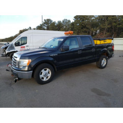2010 FORD F-150