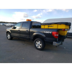2010 FORD F-150