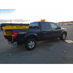 2010 FORD F-150