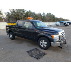 2010 FORD F-150