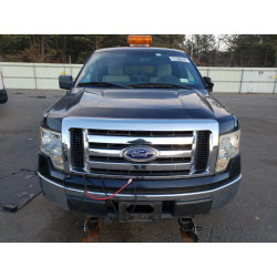 2010 FORD F-150