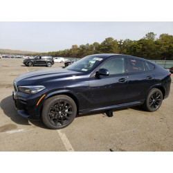 2023 BMW X6