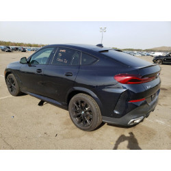2023 BMW X6