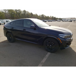2023 BMW X6