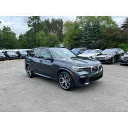 2019 BMW X5 5UXCR6C56KLL09534 71977743
