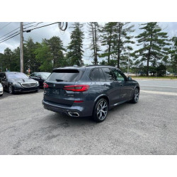 2019 BMW X5 5UXCR6C56KLL09534 71977743